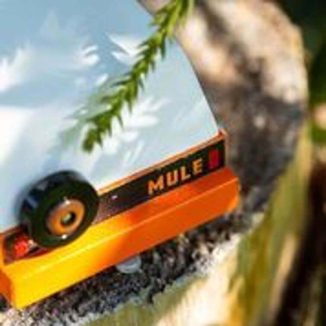 Rio Grande Mule T018