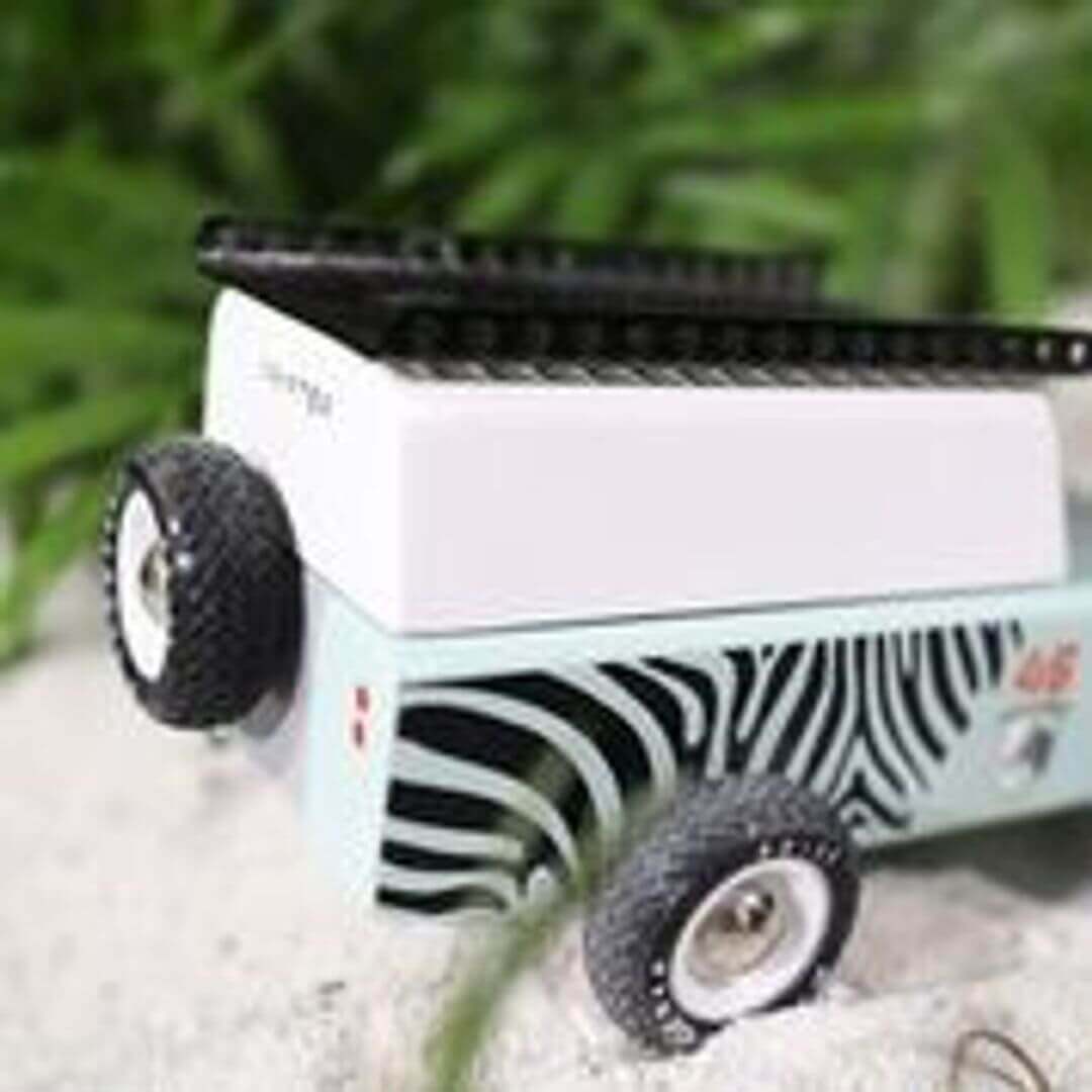 Drifter Zebra